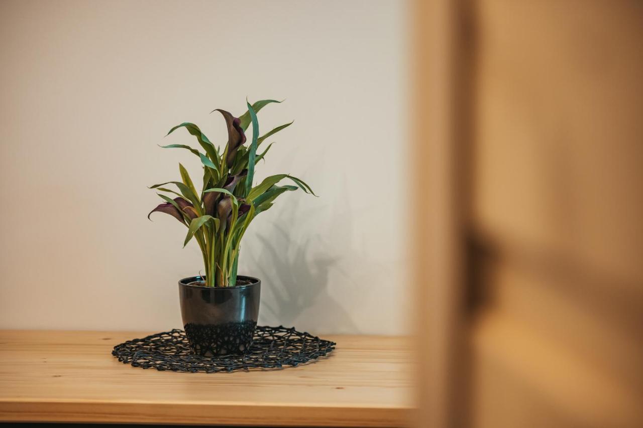 Wierchowe Apartamenty Leśnica Eksteriør billede